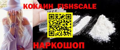 гидра Камышлов