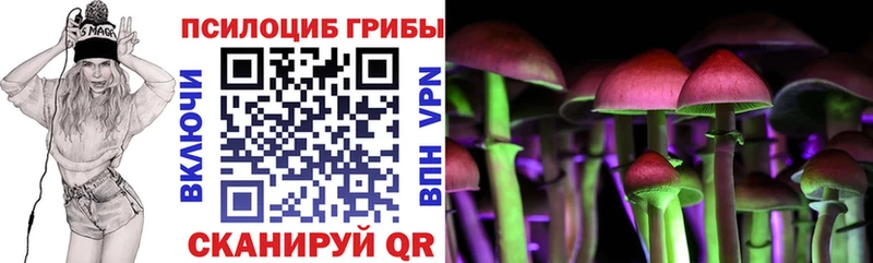 Псилоцибиновые грибы MAGIC MUSHROOMS  кракен как зайти  Тайшет 