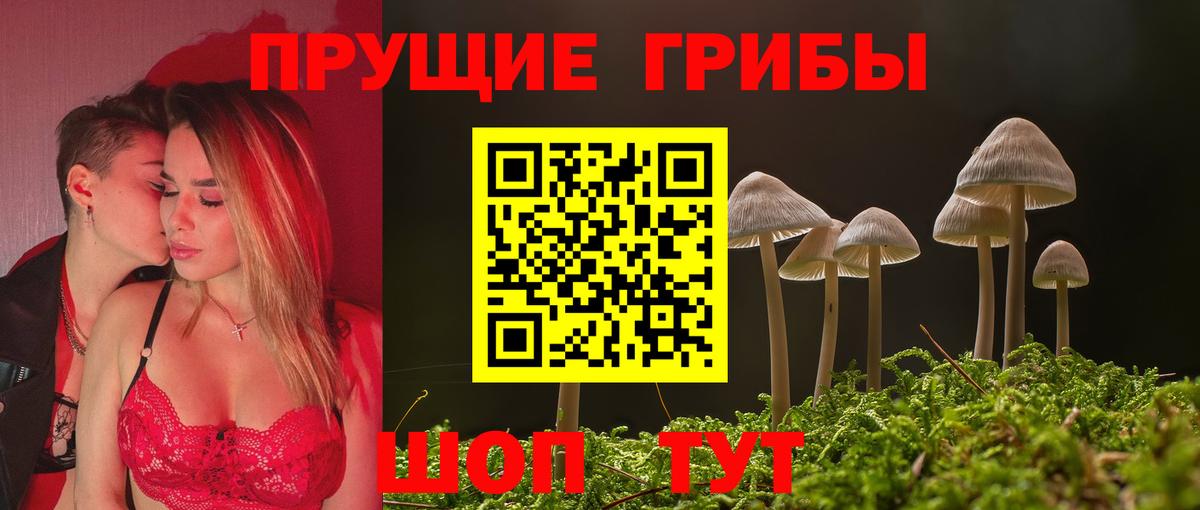 Галлюциногенные грибы мицелий Тайшет