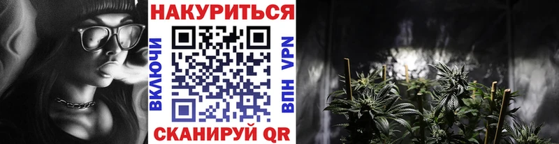 Каннабис план Тайшет
